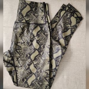 Buff Bunny Rebel Leggings Green/Black  Snakeskin